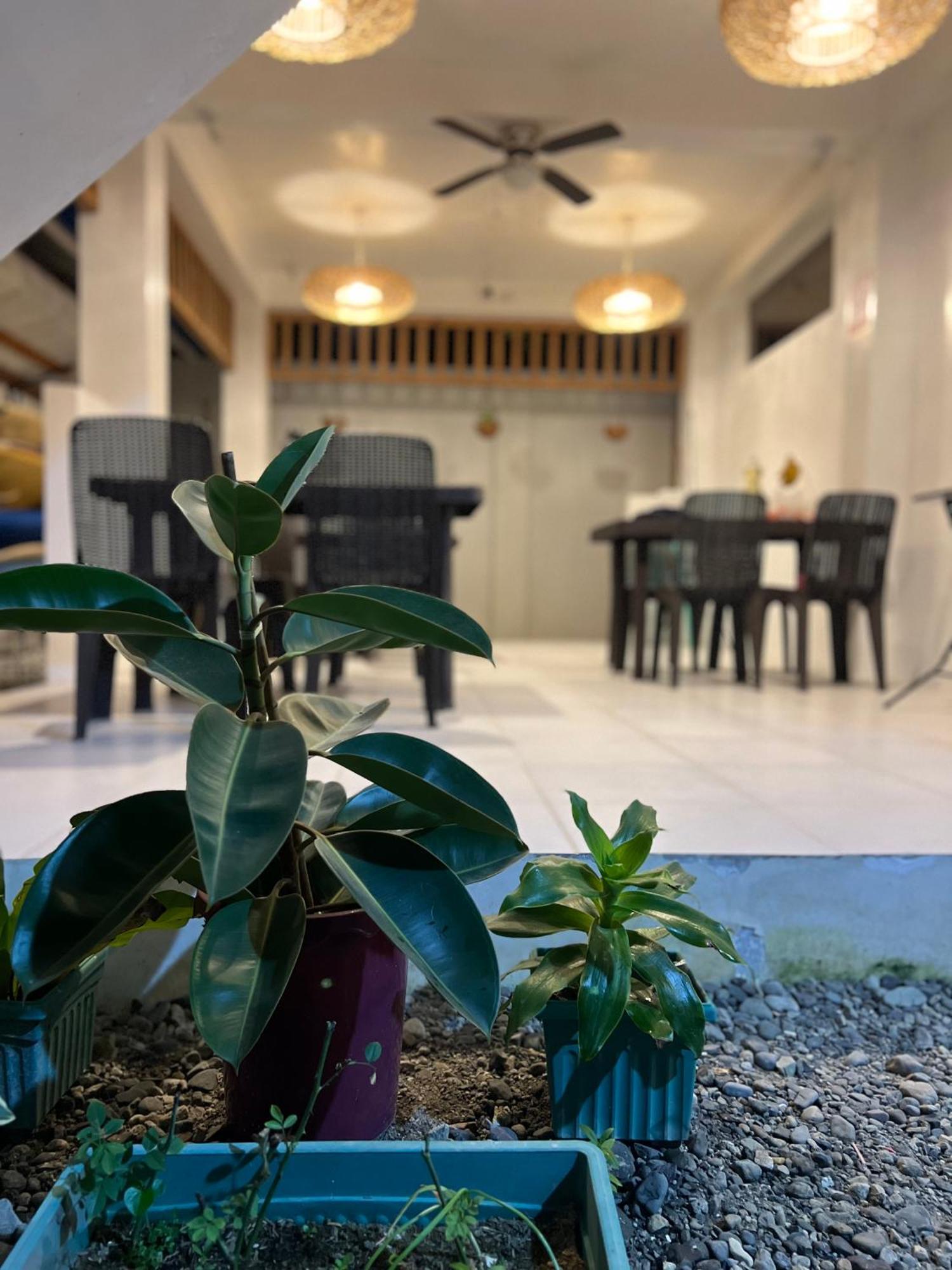 Sunny Terrace Hotel Baler Bagian luar foto