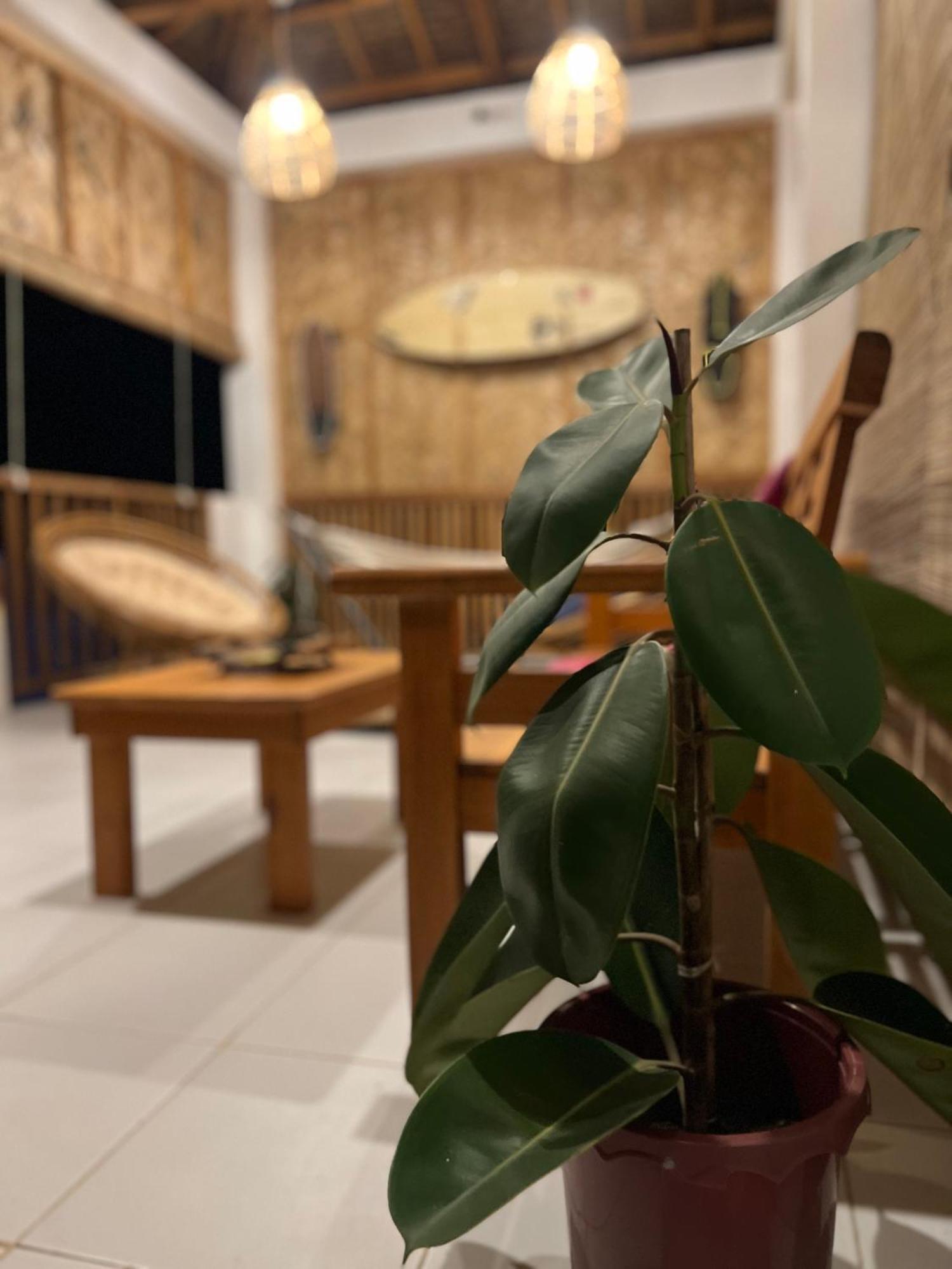 Sunny Terrace Hotel Baler Bagian luar foto